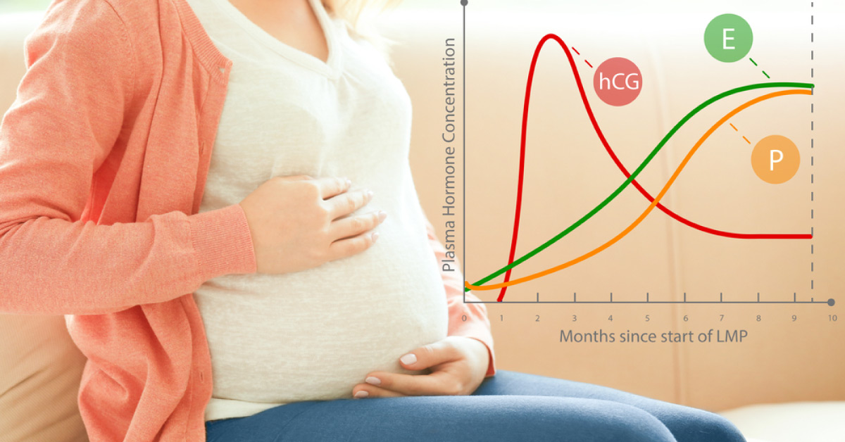Does Mother's Age, Race, Weight Affect Hormone Concentrations In Pregnancy?