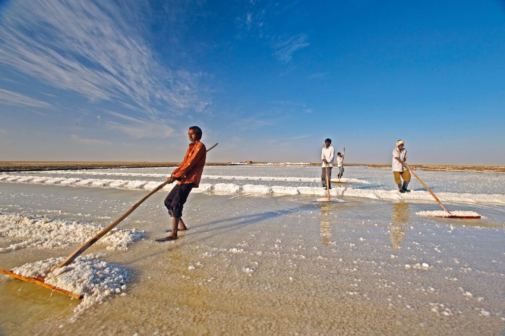 The Miserable Life Of Salt Workers/Agaria In Kutch
