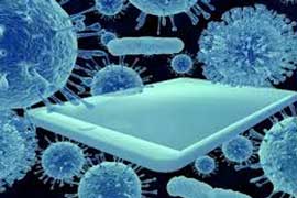 Dengue In The Americans Reaches Highest Number Of Cases Recorded