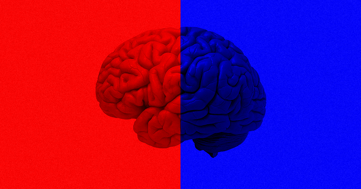 People With Half Their Brain Removed Are Doing Surprisingly Well