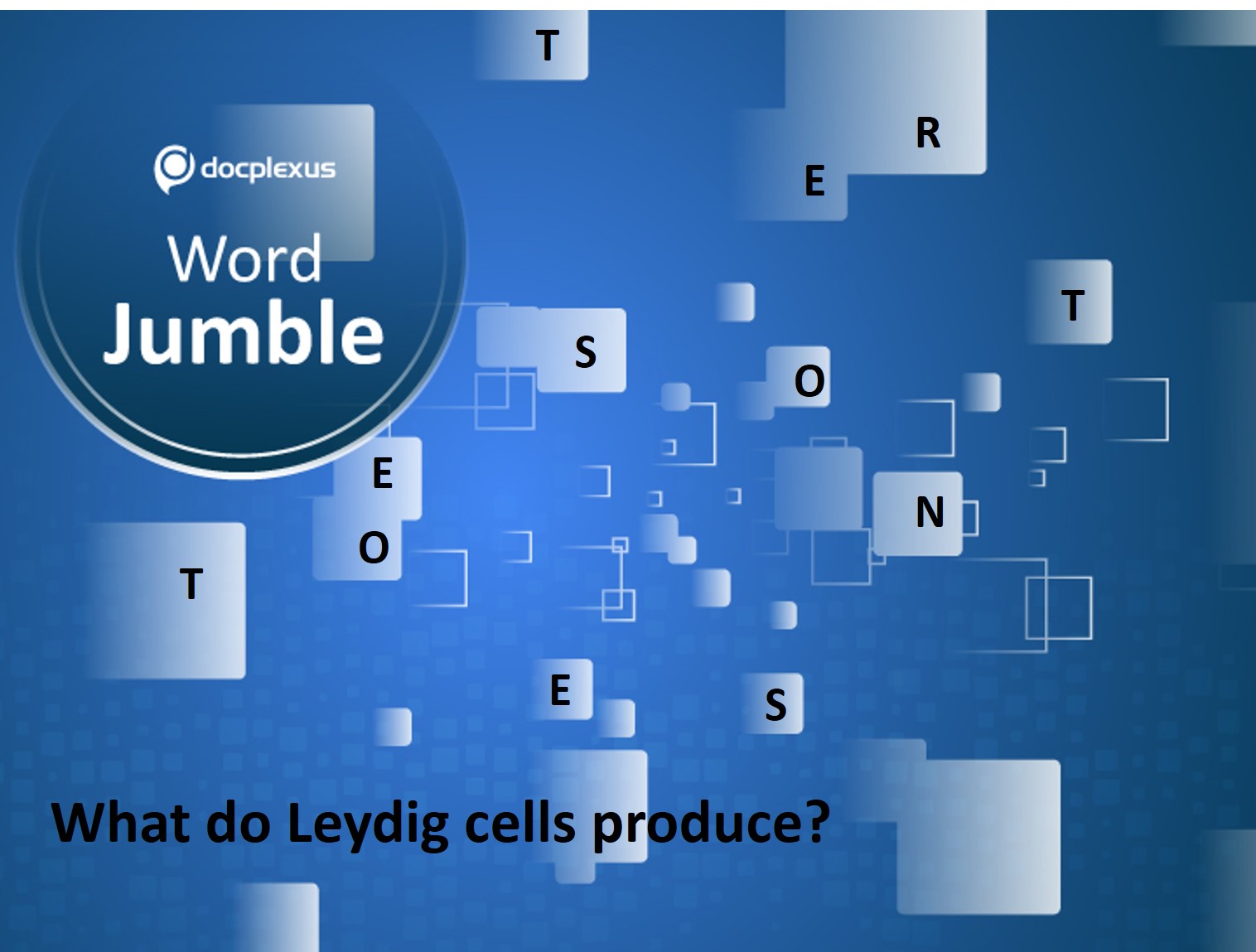 What Do Leydig Cells Produce?