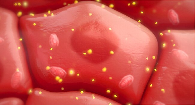 Metformin- Does It Have A Carcinogenic Potential?