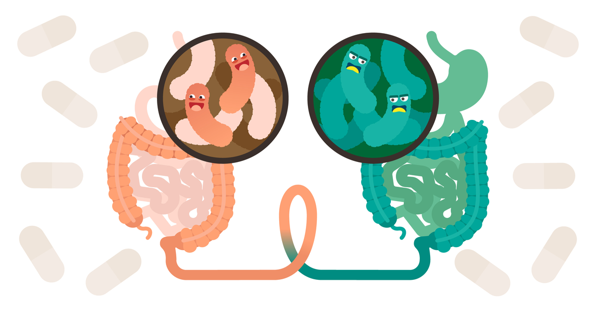 Colon Hydrotherapy Followed By Fecal Transplant May Cure Chronic Suffering Atleast In Some Patients The Authors Of A 2016 Reviewtrusted Source