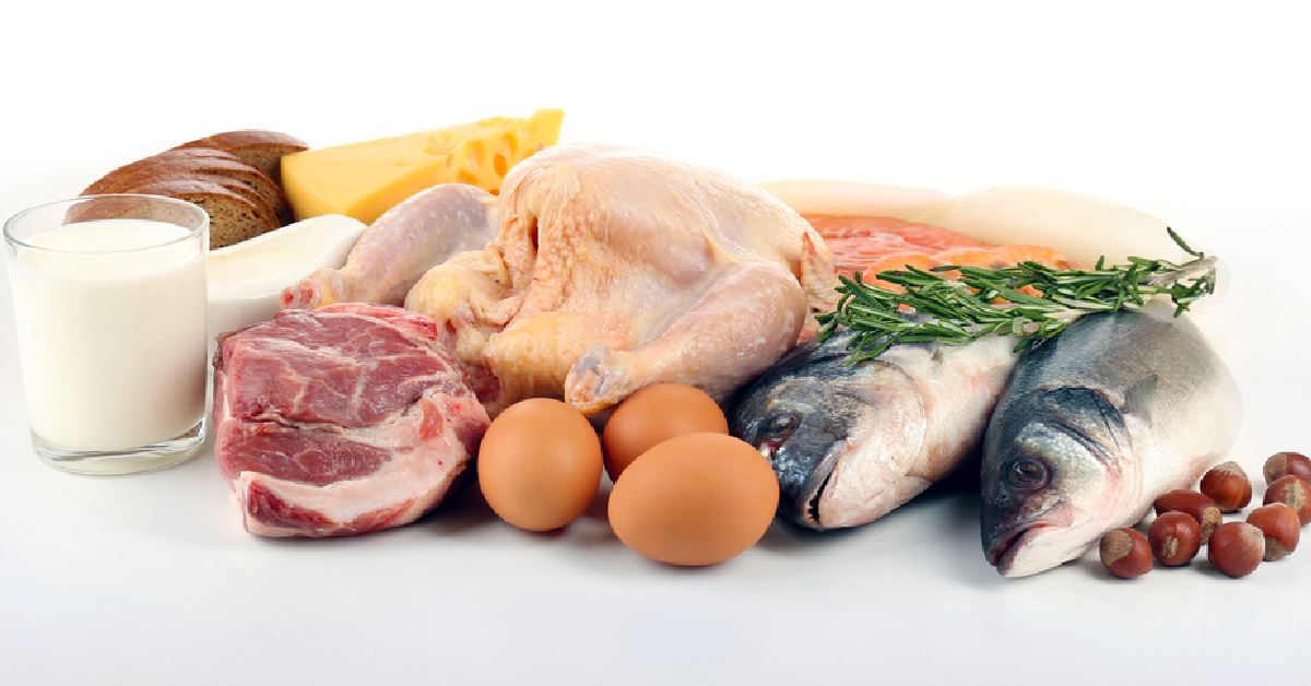 Consumption Of High Protein Diet May Be Dangerous For Health