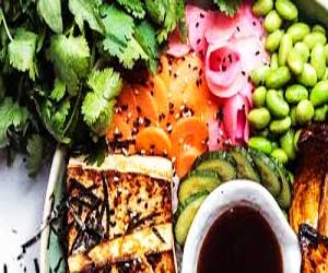 Plant-Based Diet Increases Secretion Of Insulin In T2DM Patients