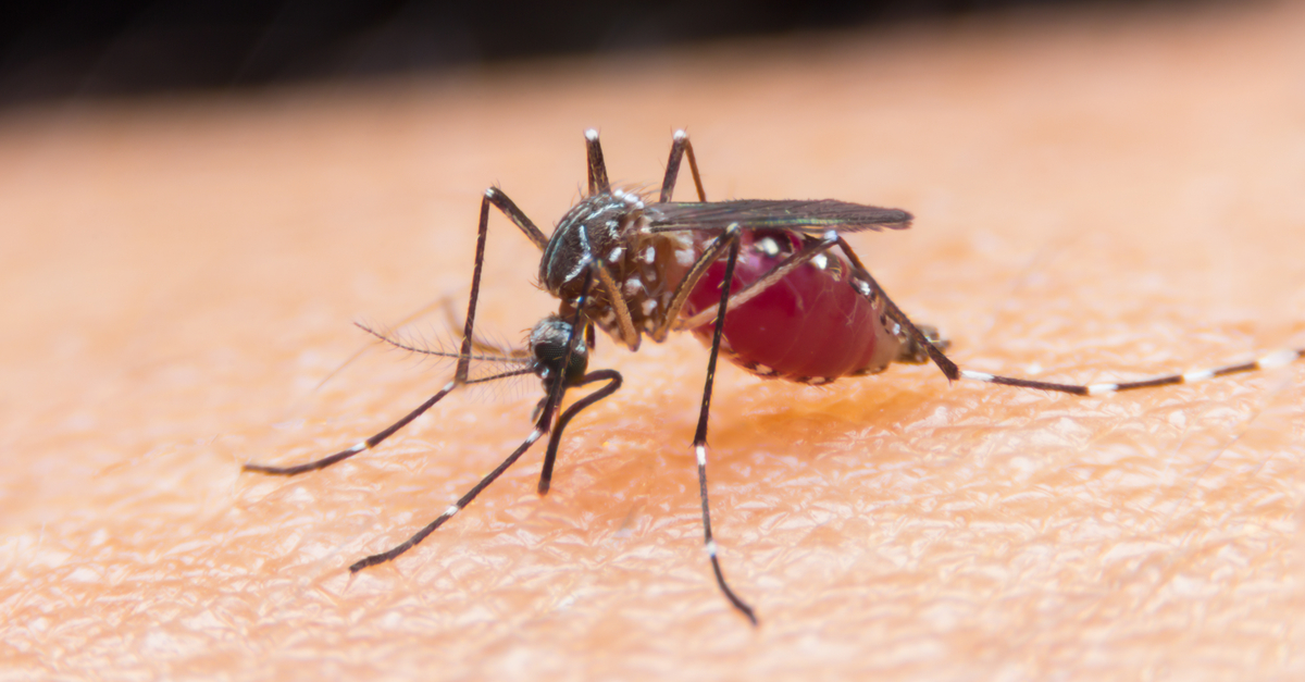 How Much Do We Know About Malaria?