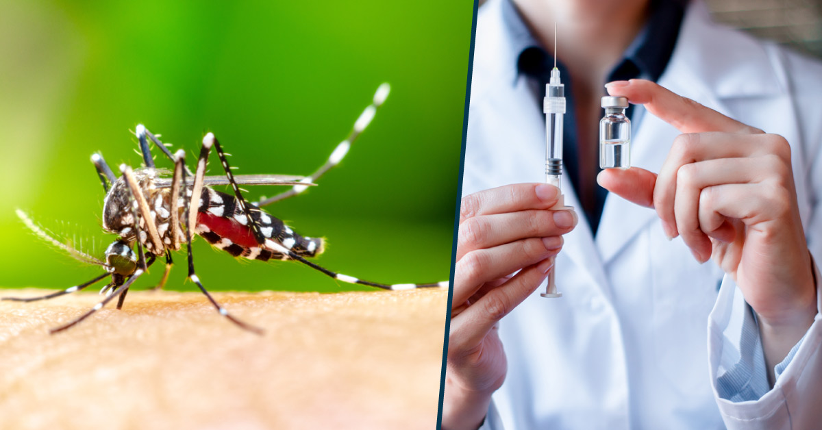 How Japanese Encephalitis Vaccine Effective In India, Seeing It's Regular Upsurge?