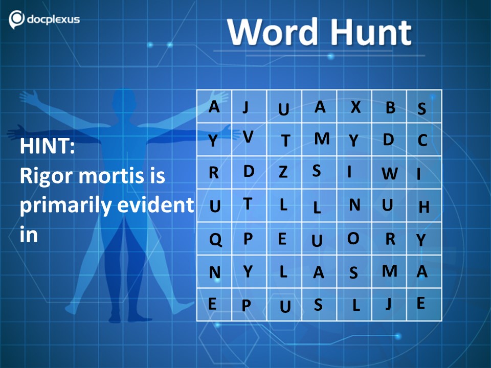 Rigor Mortis Is Primarily Evident in?