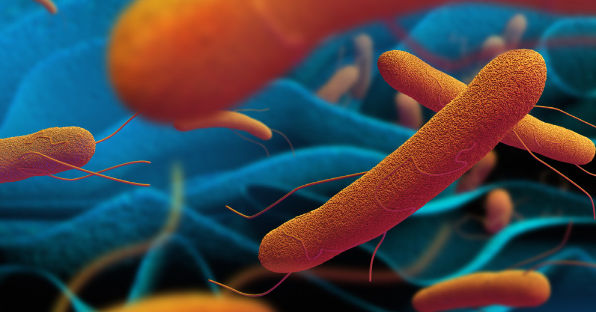 Drug Resistant Bacteria, Virus And Fungus Can Be Killed By Existing Medicines