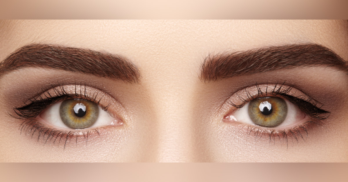 The Eyes Are A Window To The Brain