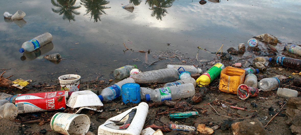World Migratory Bird Day Highlighted Serious Risks Of Plastic Pollution