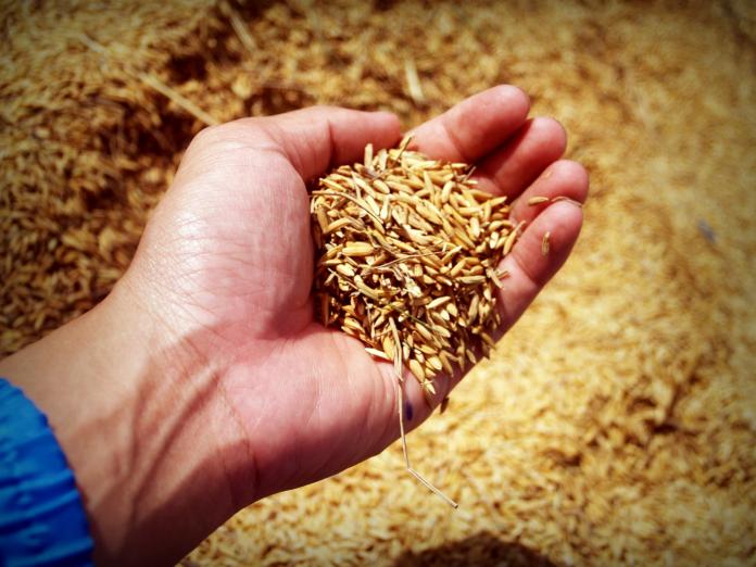 Blood Pressure: Can Whole Grain Food Really Lower Blood Pressure?