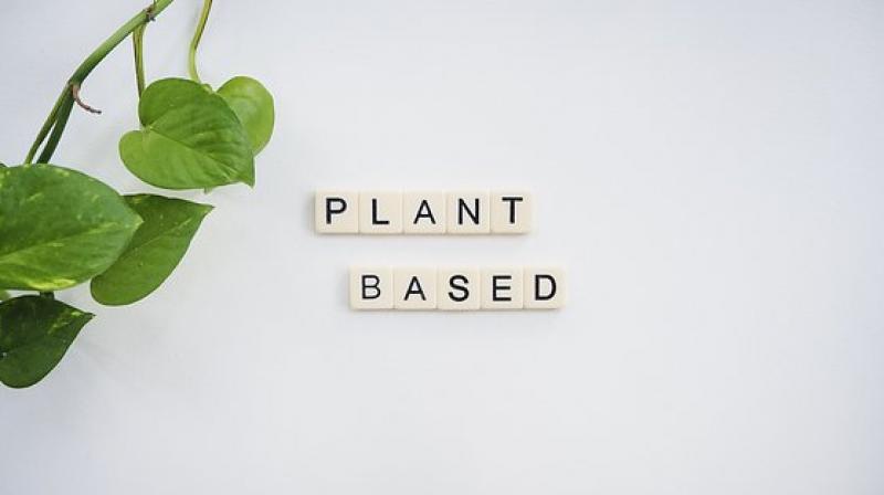 Plant Based Diet Can Help Prevent Diabetes