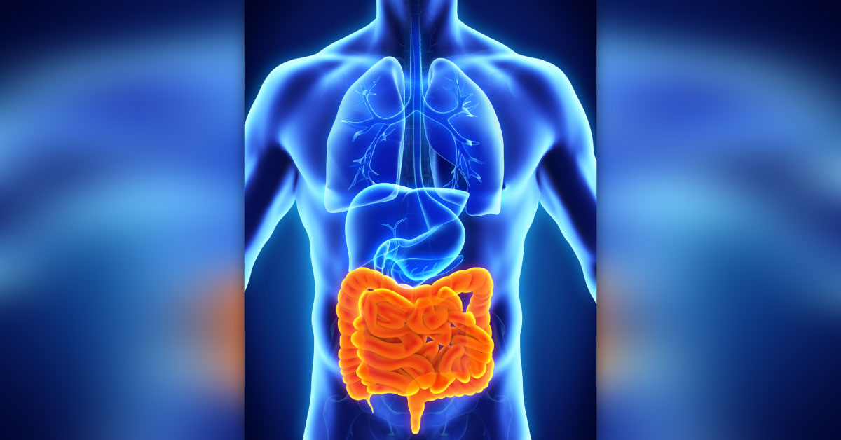 Could Boosting The Gut Microbiome Be The Secret To Healthier Older Age?