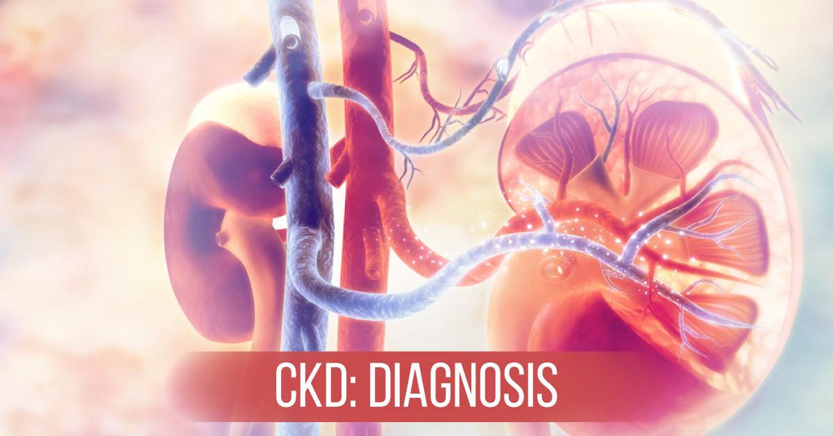 Diagnostic Aspects Of Chronic Kidney Disease