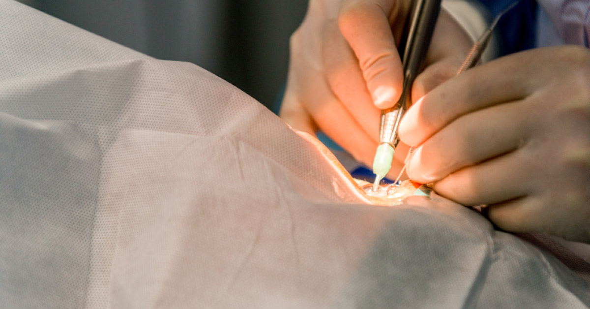 LED Lights: Are They Safe Enough For Use?