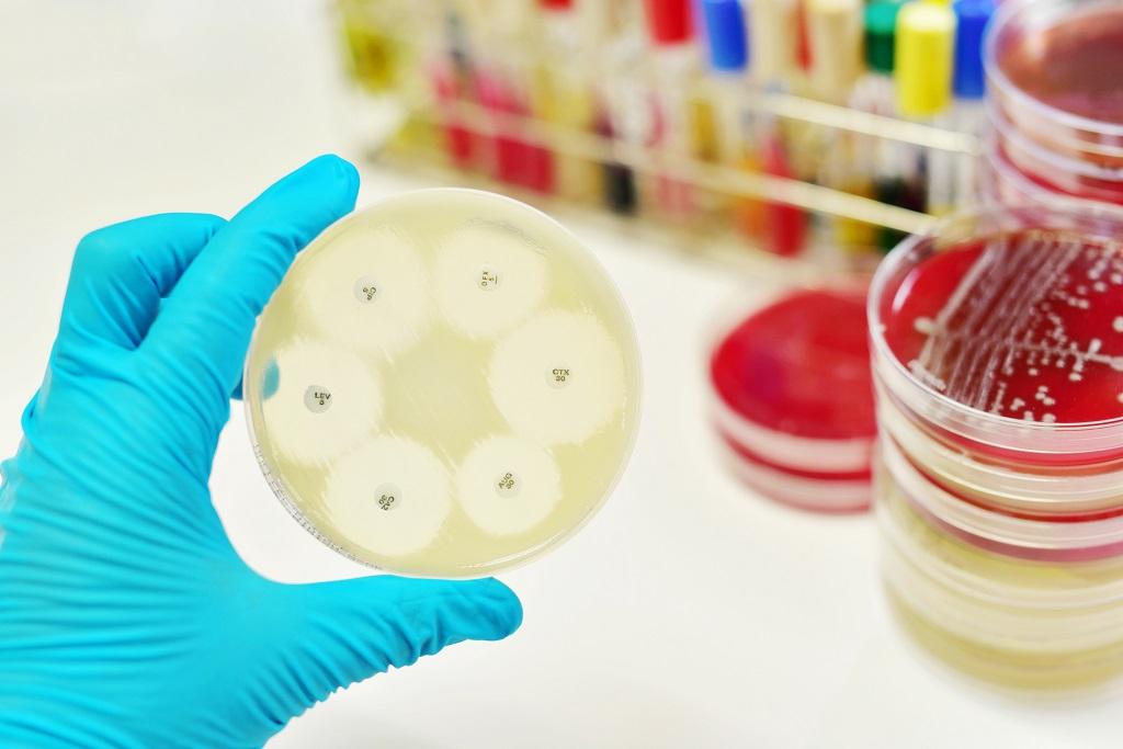 Antibiotic Resistance Rising In Helicobacter Strains From Karnataka