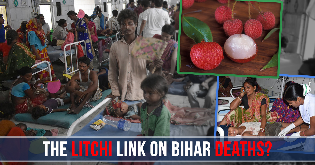 Bihar Encephalitis Death: Only Litchis Responsible?