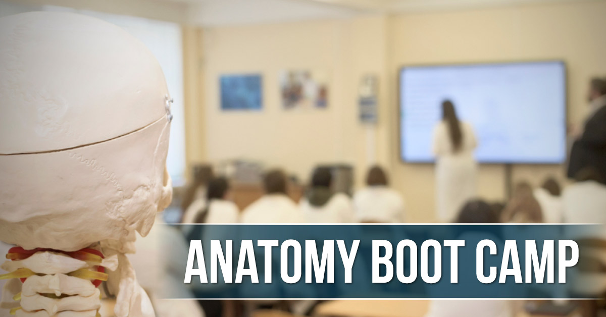 First Human Anatomy Boot Camp In Bahrain