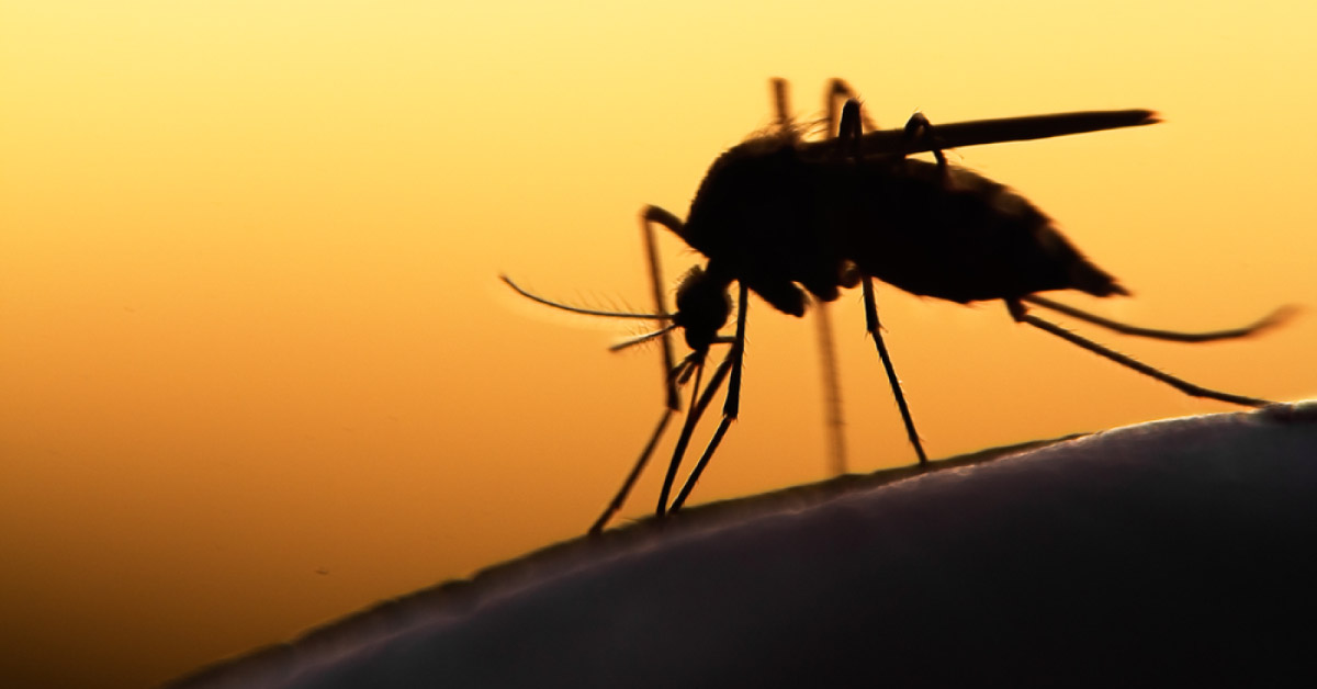 New Malaria Vaccine Provides Long-term Protection Of 7 Years Against Severe Malaria- Lancet