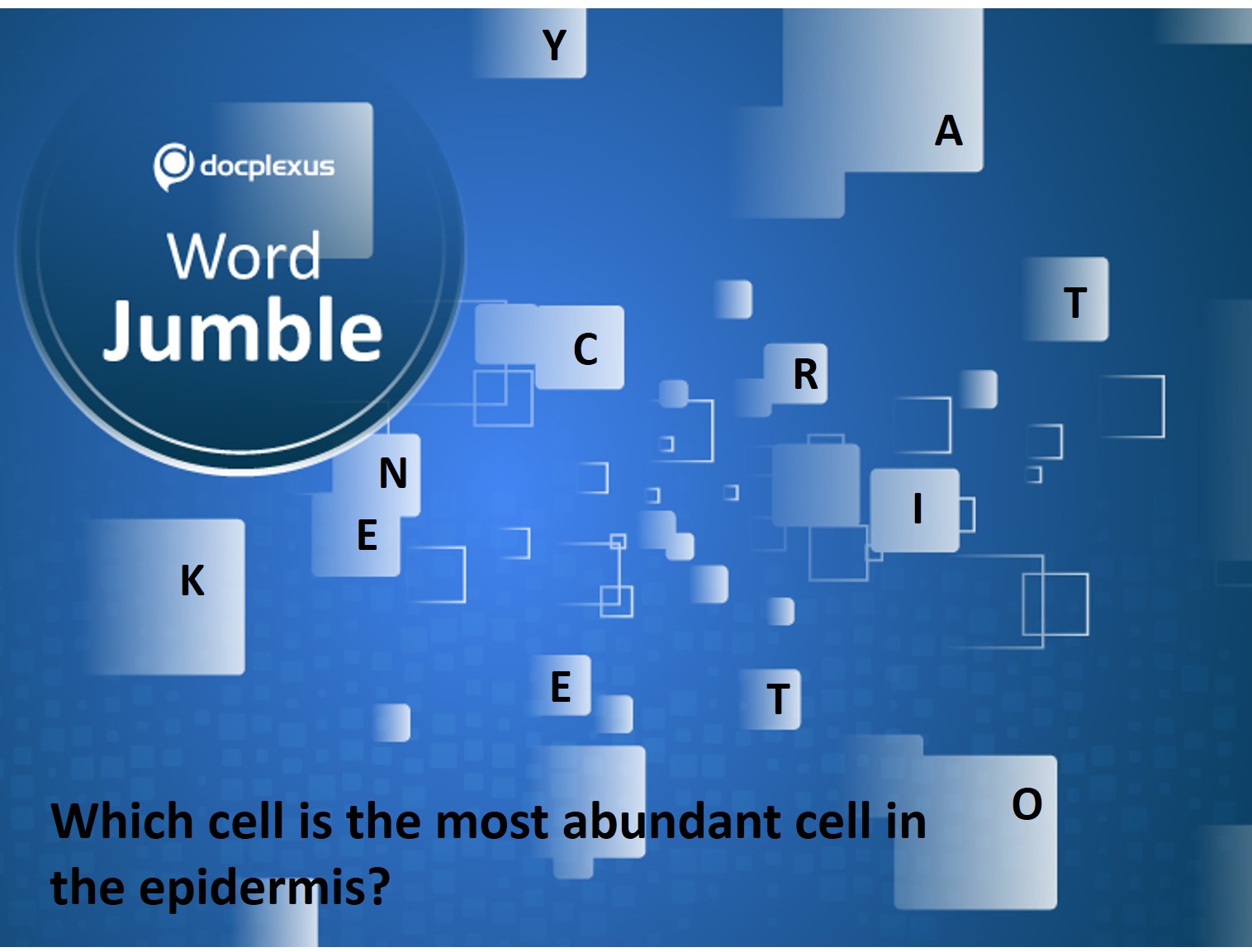 Most Abundant Cell In The Epidermis