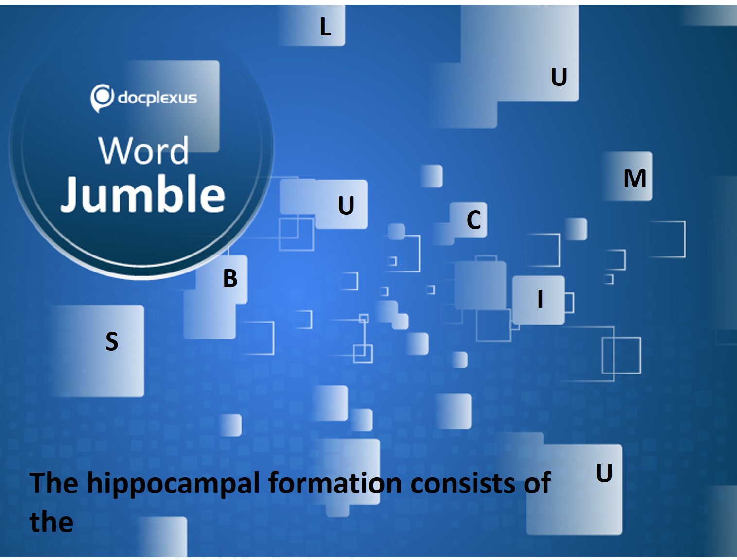 Anatomy of the Hippocampal Formation
