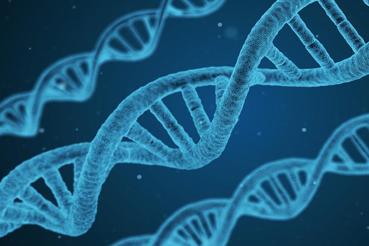 Detecting Whole Genome Of Resistant TB Bacteria, Indian Firm Claiming To Control MDR TB
