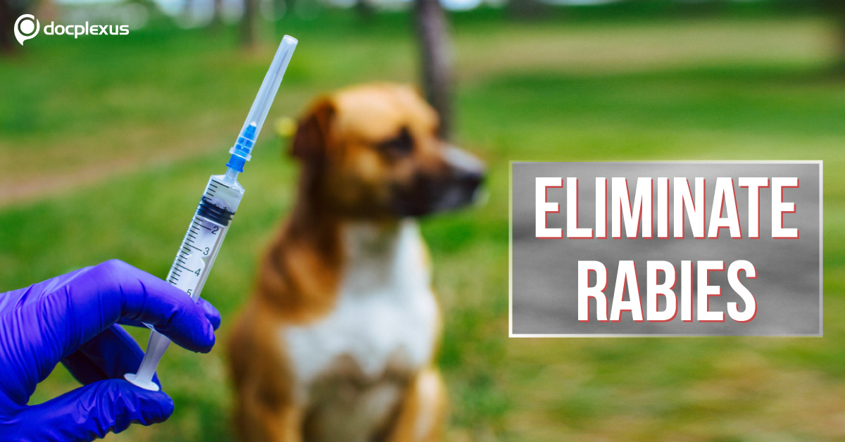 Rabies: Vaccinate To Eliminate