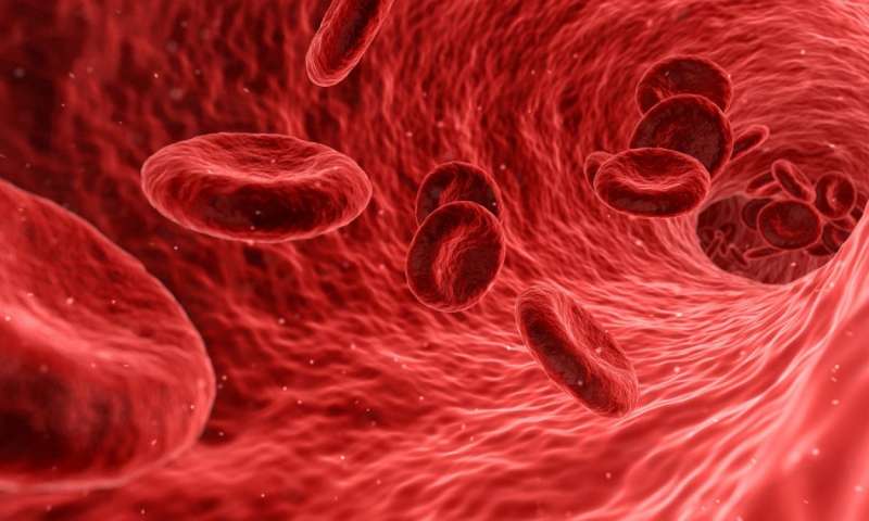 Hepatitis B Core-Related Antigen Levels Linked to Liver Cancer Risk