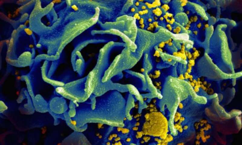 HIV Vaccine Will Be Soon In Market- Study By Many Clinical Trial