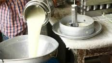 Safety And Quality Of Liquid Milk In India