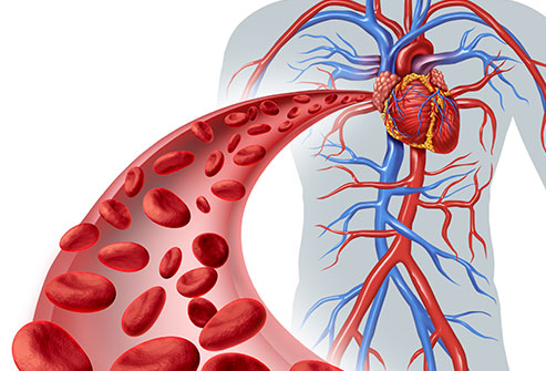 How To Improve Your Circulation?