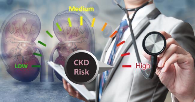 All-New Risk Calculator Tool For Chronic Kidney Disease