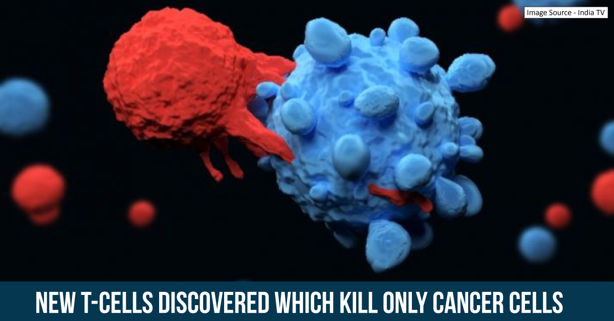 Discovery Of New T Cell Receptors As A Ray Of Hope