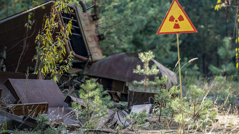 Astronauts Will Be Protected In Space From Radiation By Fungus