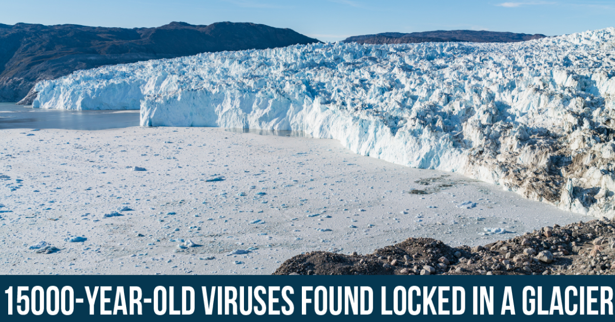 33 Viruses Found Locked In A Glacier