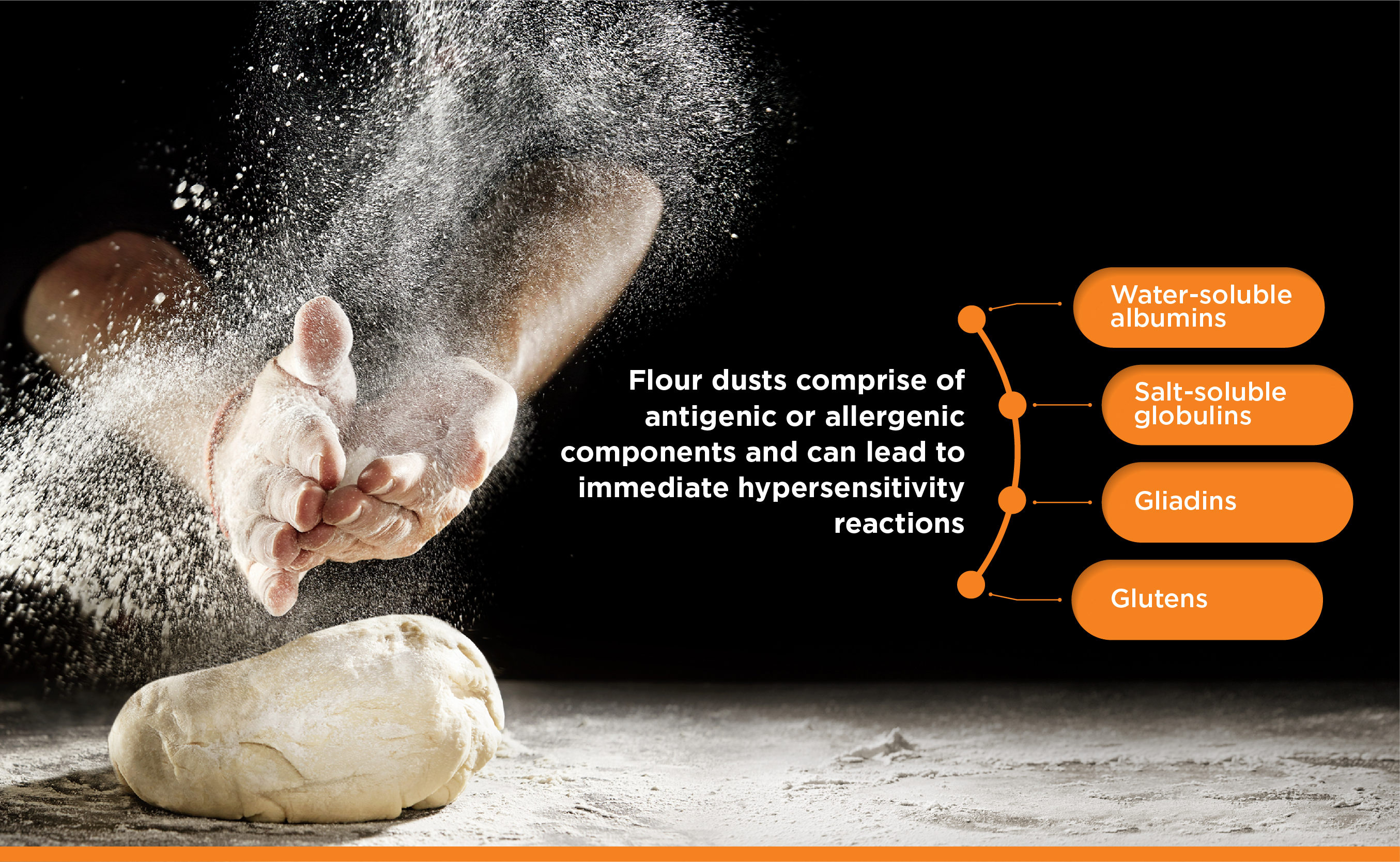 The Link Between Flour Dust Exposure And Nasal Airway Inflammation
