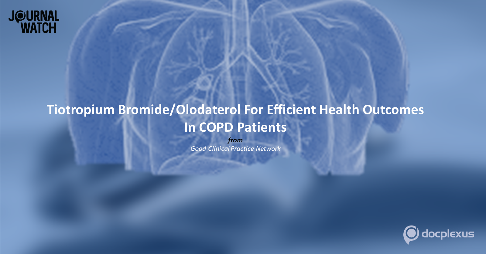 Health and Functional Status of COPD Patients on Tiotropium Bromide/Olodaterol Therapy