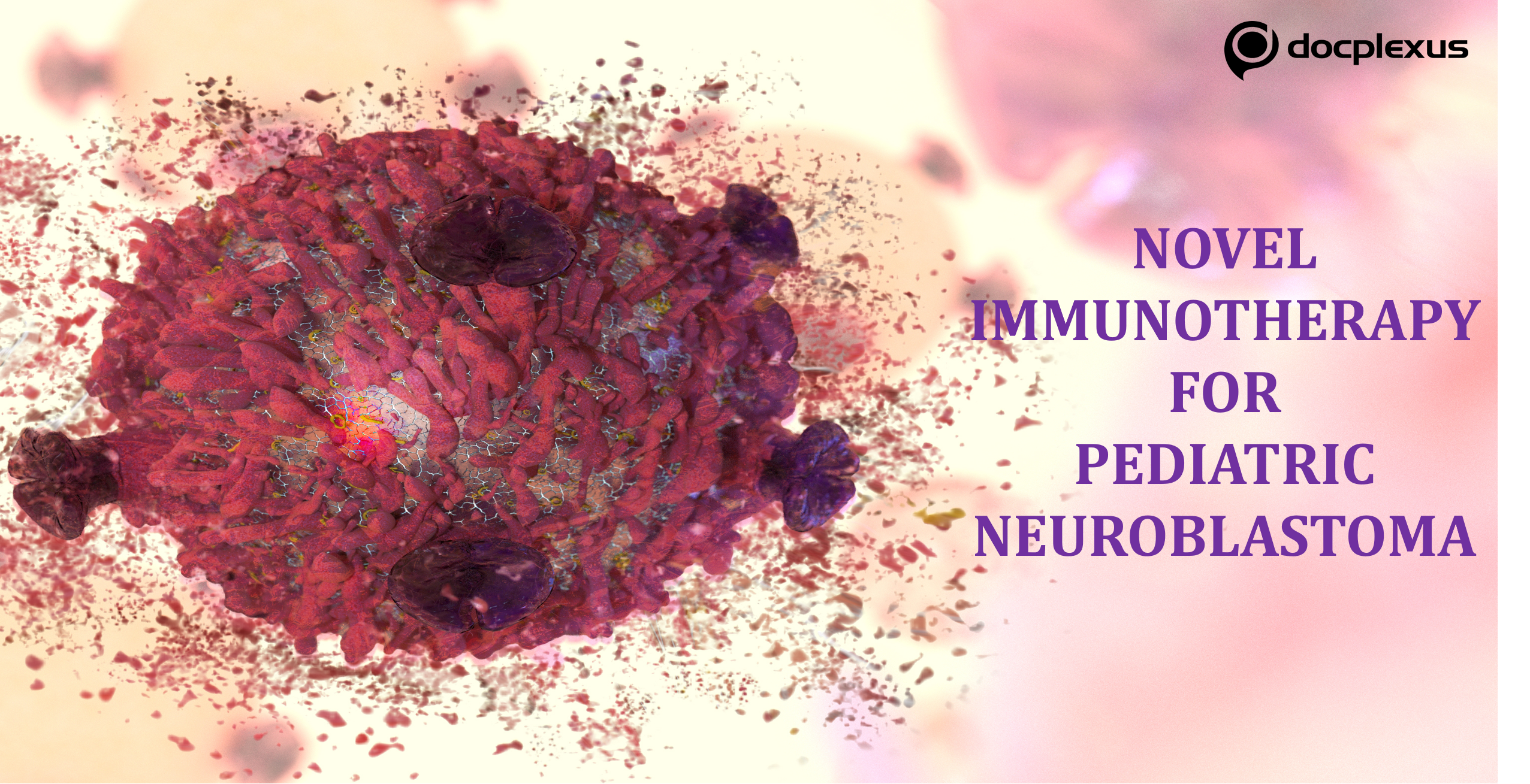Novel Immunotherapy With A Potential To Cure Pediatric Neuroblastoma