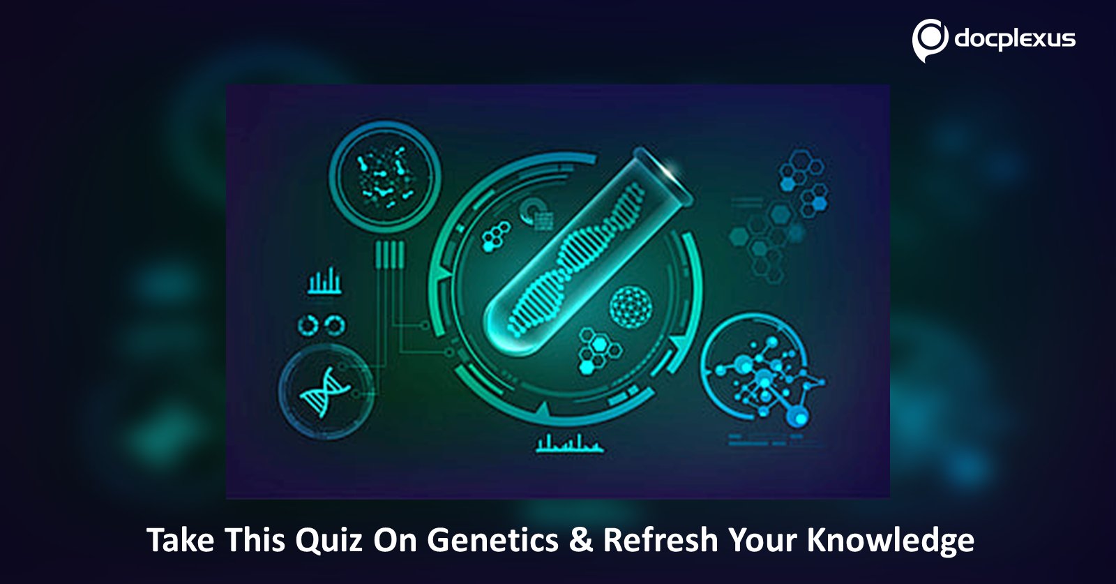 Quiz on Genetics
