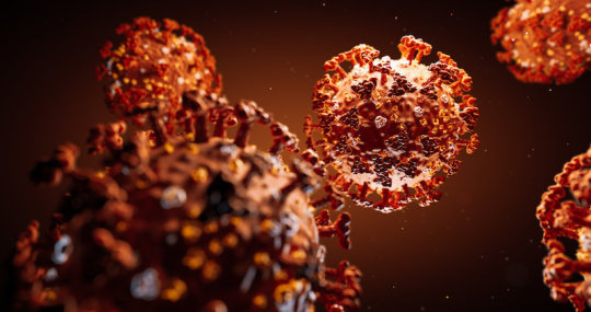 Science Behind The Origin Of Corona-virus