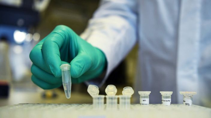 Coronavirus: Australian Scientists Map How Immune System Fights Virus