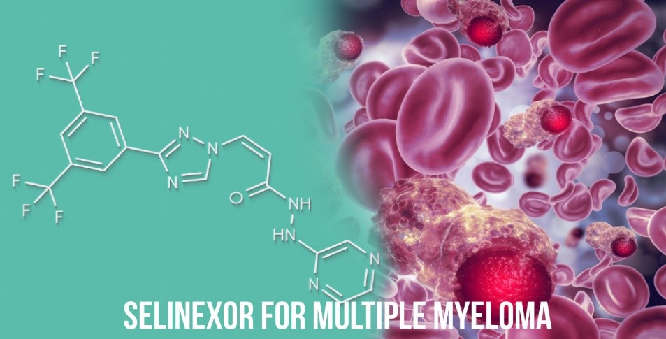 Selinexor As A Novel Drug For Multiple Myeloma