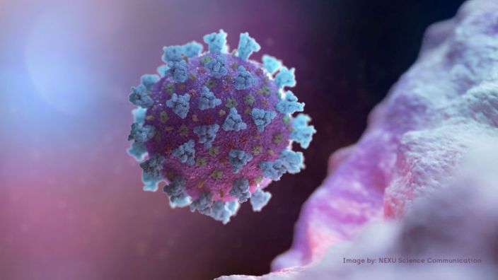 Stop Shopping! Coronavirus Could Come As A Free Surprise With Your Next Courier Package