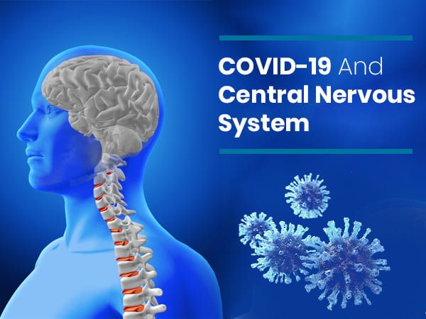Can Coronavirus Cause Damage To The Central Nervous System?