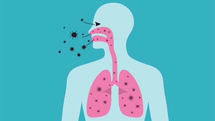 How Does Covid-19 Travel In Your Body?