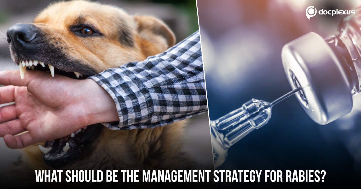 Guidelines For The Management Of Rabies