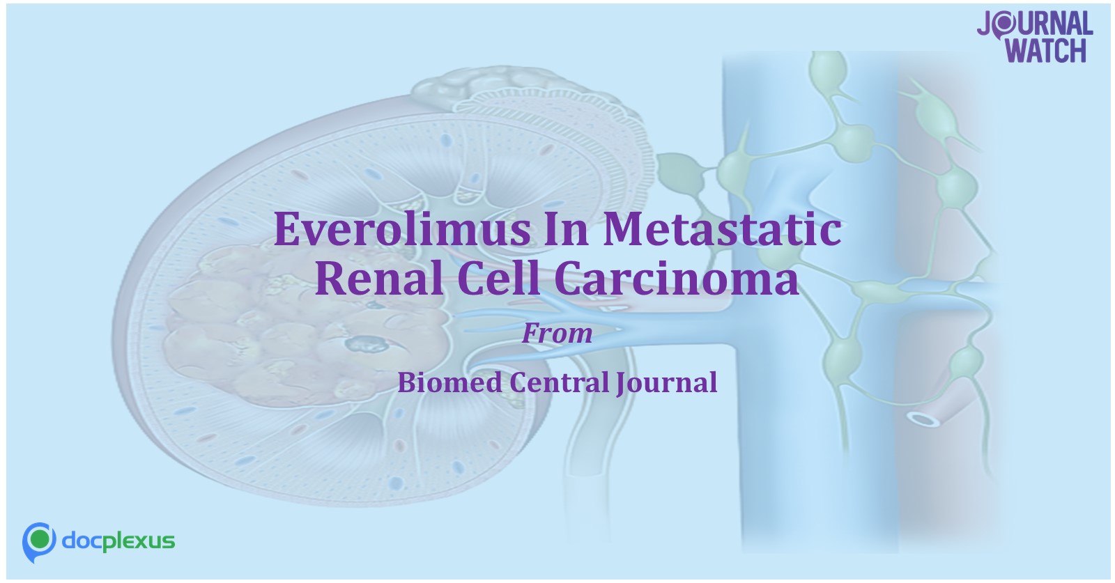 Everolimus for Patients with Metastatic Renal Cell Carcinoma
