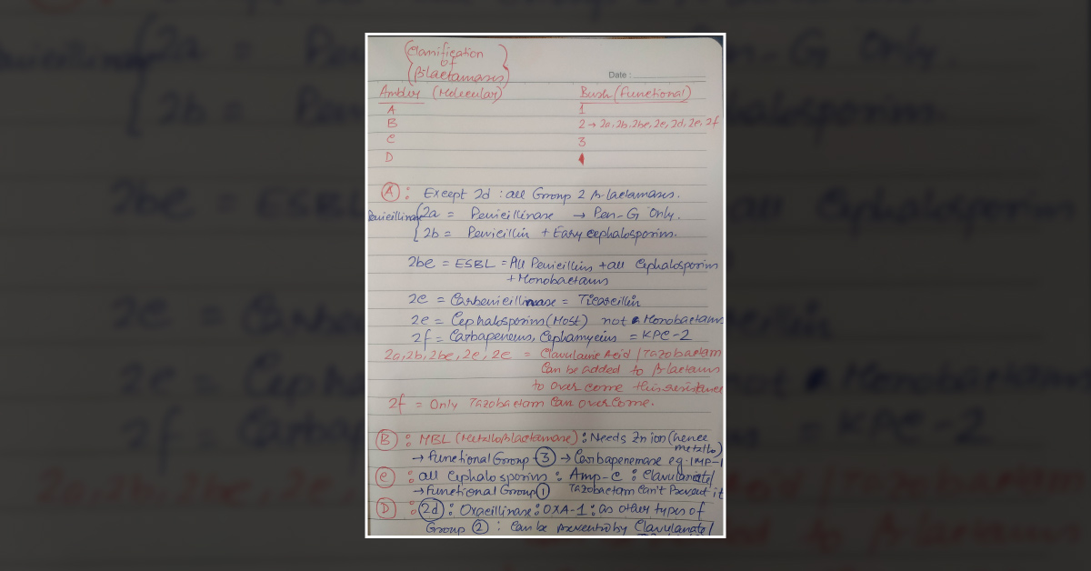 Classification Of Beta Lactamase
