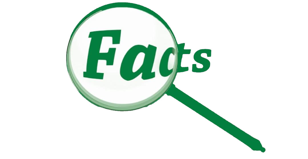 5 Must Know Facts About Vitamin E